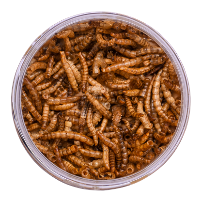 Peanut butter krukke med melorme 330g