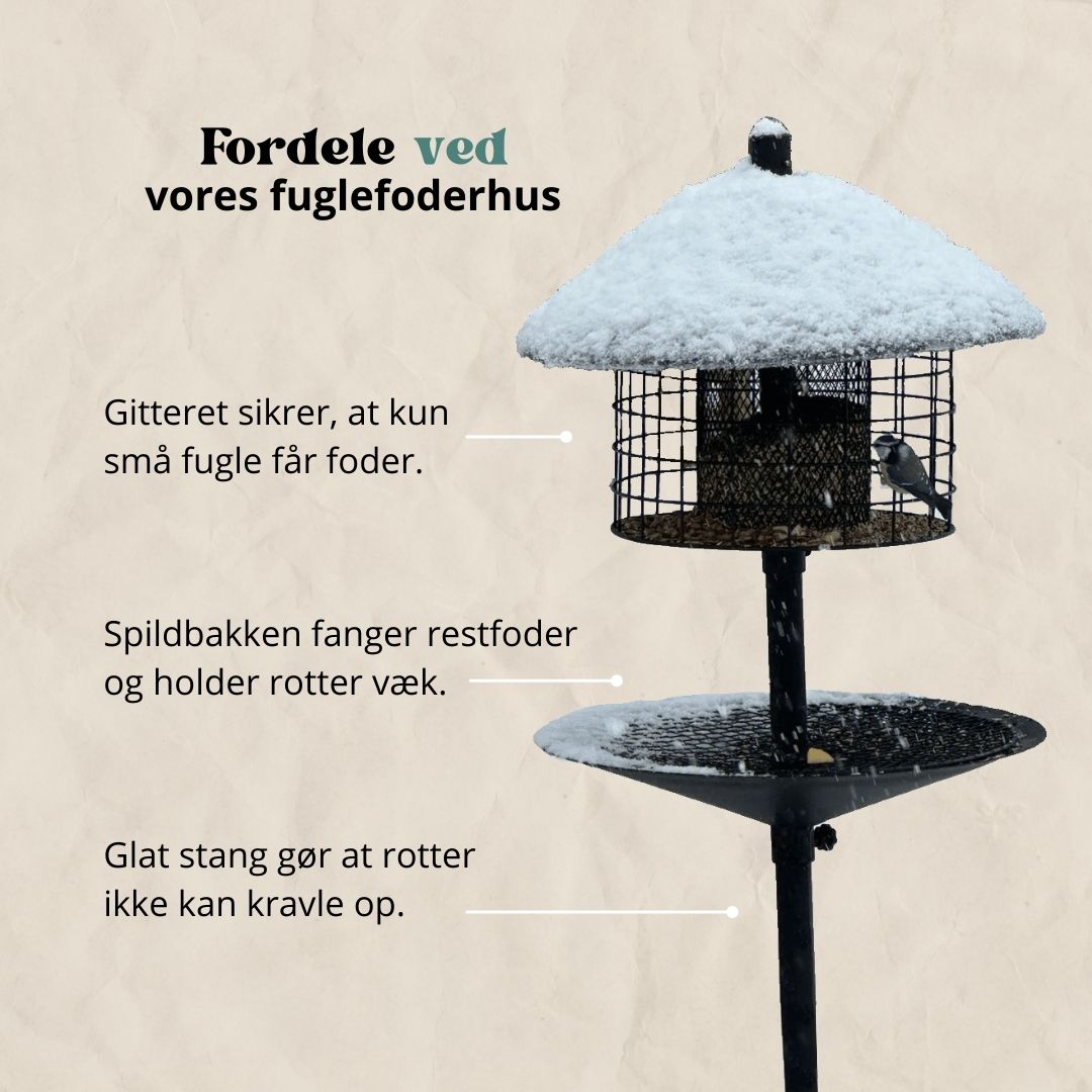 Rottesikret fuglehus