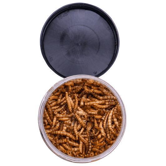 Peanut butter krukke med melorme 330g