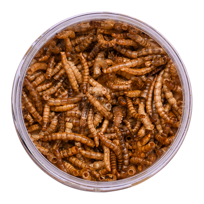 Peanut butter krukke med melorme 330g